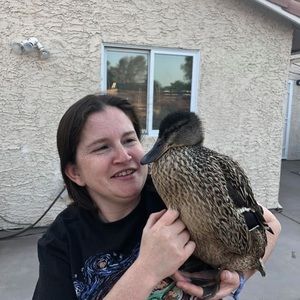 Meet your Posher, Maggie